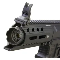 Автомат G&G ARP 556 V2S