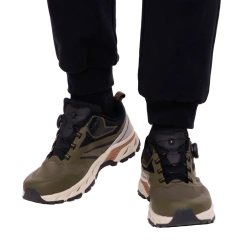 APEX Lion (Green, 42)
