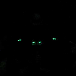 Нашивка SMOLA313 Назгулы 