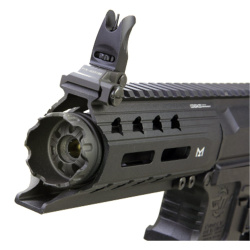 Автомат G&G ARP 556 V2S Автомат G&G ARP 556 V2S